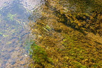 Naturalistic oasis Fontane Bianche in Italy