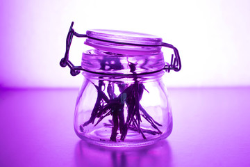 Obraz na płótnie Canvas Glass jar with dry grass on a lilac background.