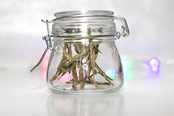 Glass jar with dry grass on a light background.