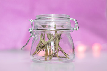 Glass jar with dry grass on a lilac background.