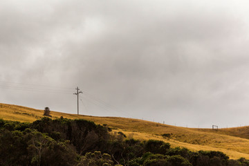 Obraz premium Lonely telephone line on grassy hill top on overcast day.
