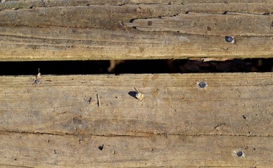 Naklejka premium A close view of the textures of the old wood boards.
