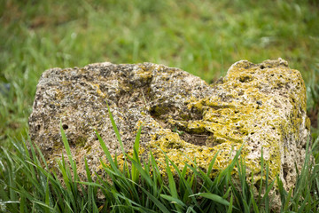Steinblock im Gras