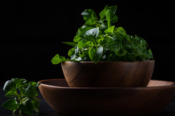 Watercress in wood bowl