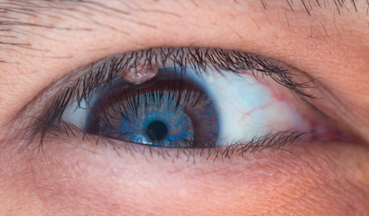 Fototapeta premium Human eye medical detail