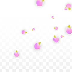 Vector Realistic Pink Petals Falling on Transparent Background.  Spring Romantic Flowers Illustration. Flying Petals. Sakura Spa Design. Blossom Confetti.