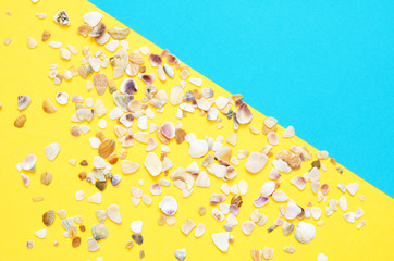 Fototapeta na wymiar Sea shells pattern on turquoise and yellow paper background. Summer concept. Flat lay, top view - Image