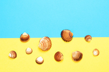 Sea shells pattern on  turquoise and yellow paper background. Summer concept. Flat lay, top view - Image