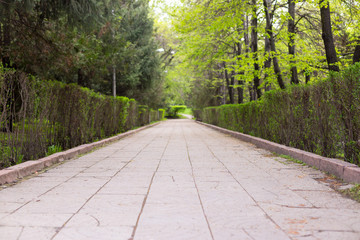 pedestrian paved alley