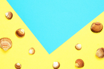 Sea shells pattern on  turquoise and yellow paper background. Summer concept. Flat lay, top view - Image
