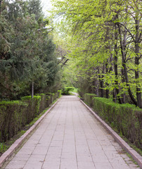 pedestrian paved alley