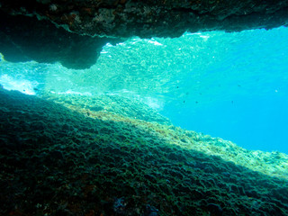 Fototapeta na wymiar View from the underwater cave, Croatia