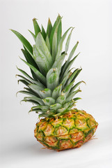 Fresh pineapple on an isolated gray background