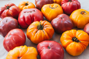 Flat lay of fresh yellow and red reipened heirloom tomatoes on white background. Fresh vegetables. Healthy nutrition concept. Organic food