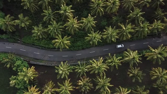 Above aerial view of rural road