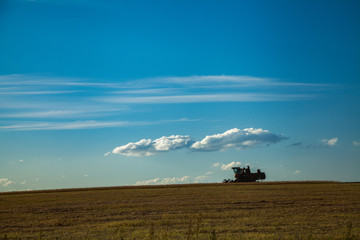 Fototapeta premium Harvester gathers the agricultural harvest