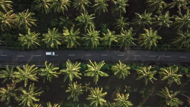 Above aerial view of rural road