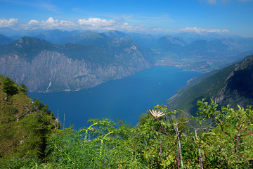 Obraz premium Naturlandschaft am Monte Baldo, mit seltenem Segelfalter. Blick nach Riva