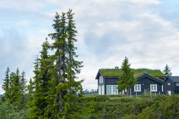 Norwegian typical grass roof country house. Norwegian houses in national style. Wooden house in mountains. Typical Norwegian wooden home with turf roof covered with grass.