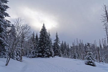 Panoramic view at winter landscape against cloudy sky