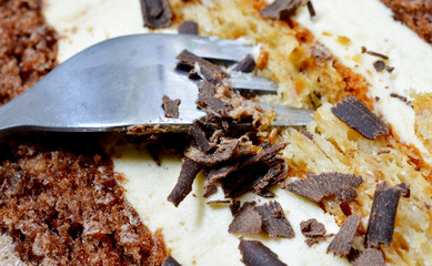 texture of a chocolate cake, fork and crumbles close up image