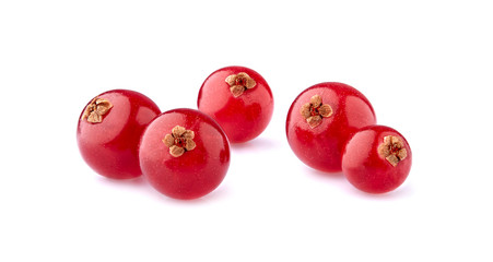 Red currant berries on White Background