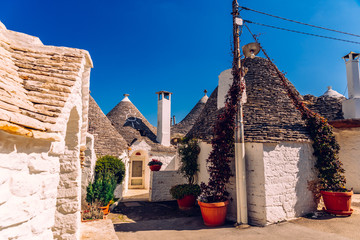 Beautiful single-storey houses of rounded construction called trulli, typical of the area of...