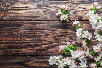 Naklejka na ściany i meble Sakura blooming on a dark rustic wooden background. Spring background with blossoming apricot branches and cherry branches
