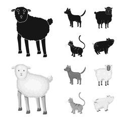 Vector illustration of breeding and kitchen  sign. Set of breeding and organic  stock vector illustration.