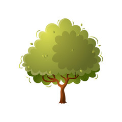 Season green tree in farm garden without some fruits