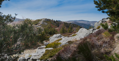 Fototapeta na wymiar Landschaft um den Mont Gerbier de Jonc in den Monts d'Ardeche