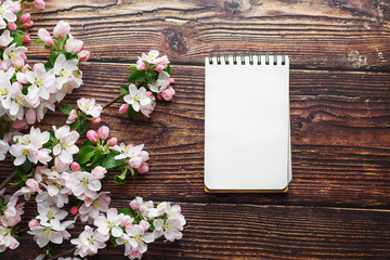 Sakura blossoms on a dark rustic wooden background with a notebook. Spring background with blossoming apricot branches and cherry branches