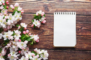 Sakura blossoms on a dark rustic wooden background with a notebook. Spring background with blossoming apricot branches and cherry branches
