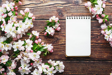 Sakura blossoms on a dark rustic wooden background with a notebook. Spring background with blossoming apricot branches and cherry branches