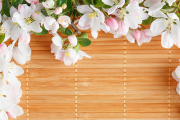 Frame of spring flowers of sakura on bamboo background. Beautiful cherry blossom sakura in springtime