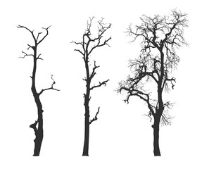 Tree set collection isolated on white background. Silhouette dead trees without leaves. Clipping path included