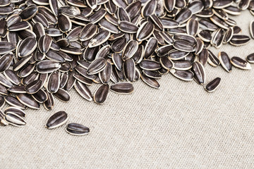 Dry sunflower seeds on rough fabric with copy space. Seeds with peel on cloth. Selective focus.