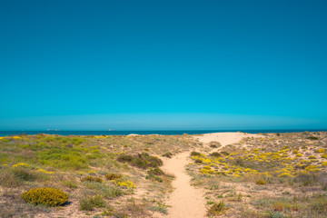 Sand trail between bushes and desert vegetation. Arid scenery. Mediterranean dry landscape and Turquoise  water beach