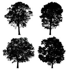 Tree set collection isolated on white background. Silhouette trees. Clipping path included