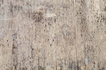 Old Wood Texture