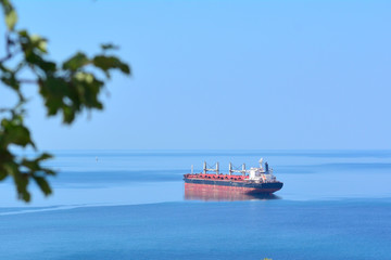 a sea container ship is on the sea raid