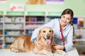 Beautiful young veterinarian with a dog on a white background