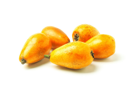 Medlar
