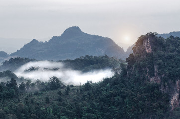 Mountains, trees and fog, beautiful scenery.