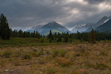 Fototapeta premium A view of Johnson Canyon close to the Ink Pots in Banff National Park with the Canadian Rockies in the background