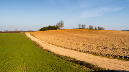 Wzgórz sokólskie, Stary wiatrak, Krajobraz wiejski Podlasia © podlaski49