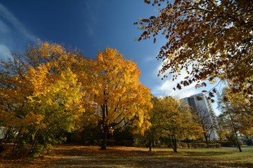 Autumnal Impressions from City Park in Berlin Spandau, from October 30, 2016, Germany