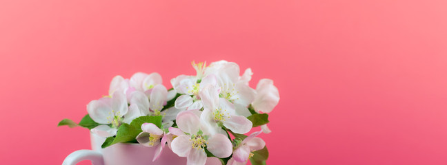 Fototapeta na wymiar White spring apple tree blooming flowers in a cup