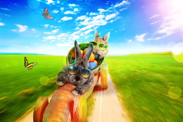 Osterhase unterwegs zum Osterfest!