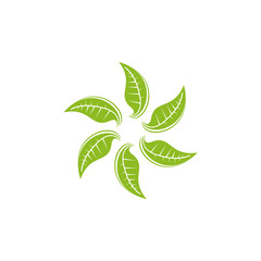 Leaf icon logo design vector template